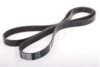 ASHIKA 112-6PK1880 V-Ribbed Belts